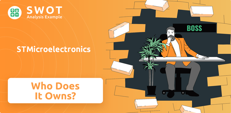 Who Owns STMicroelectronics Company?