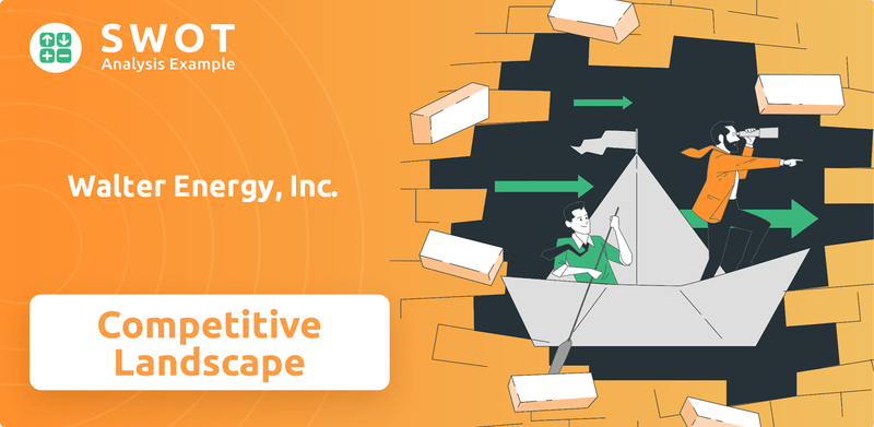 What is Competitive Landscape of Walter Energy, Inc. Company?