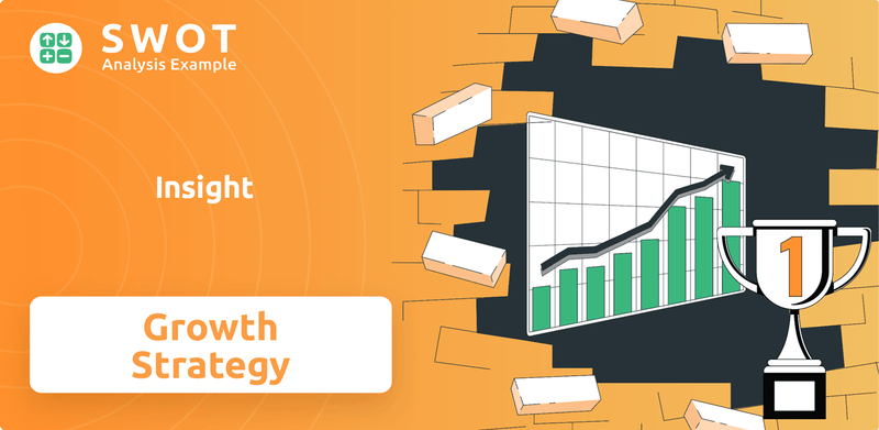 What is Growth Strategy and Future Prospects of Insight Company?