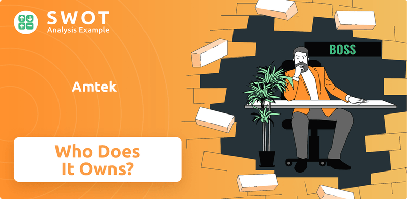 Who Owns Amtek Company?