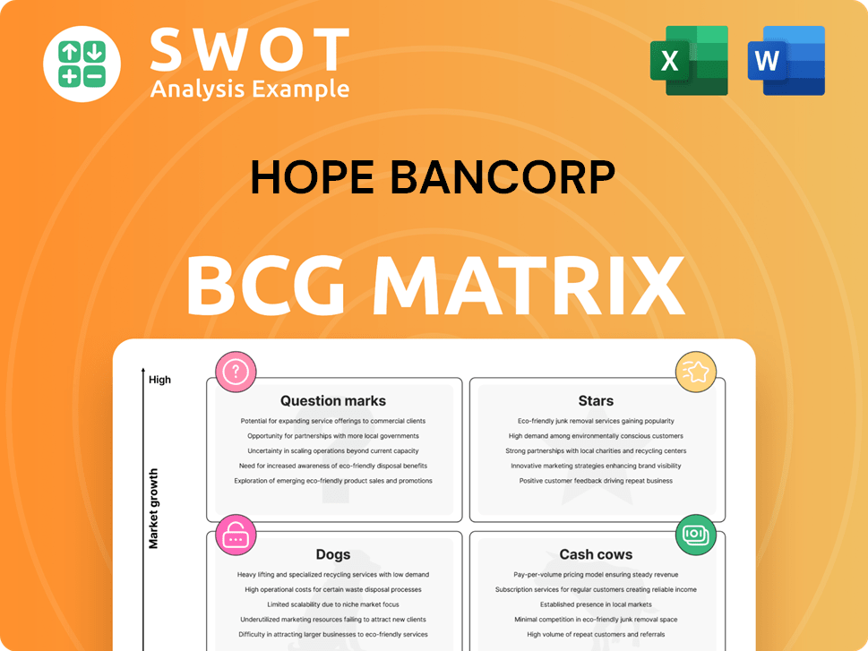 Hope Bancorp Boston Consulting Group Matrix