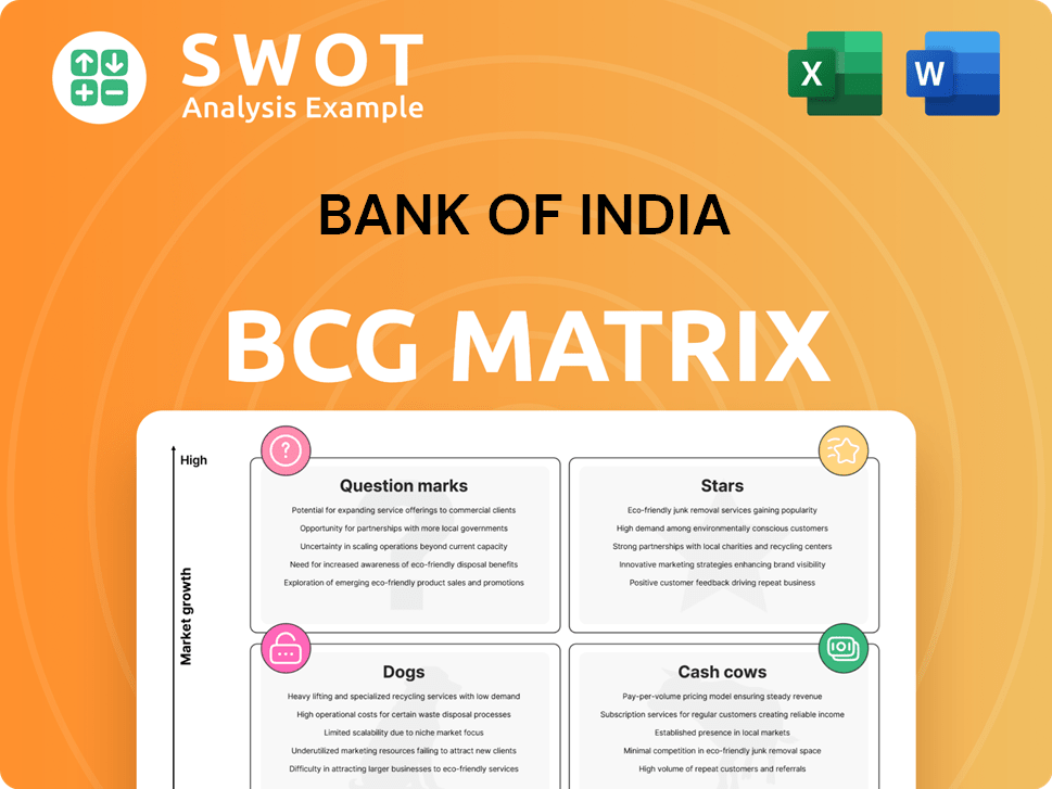 Bank of India Boston Consulting Group Matrix