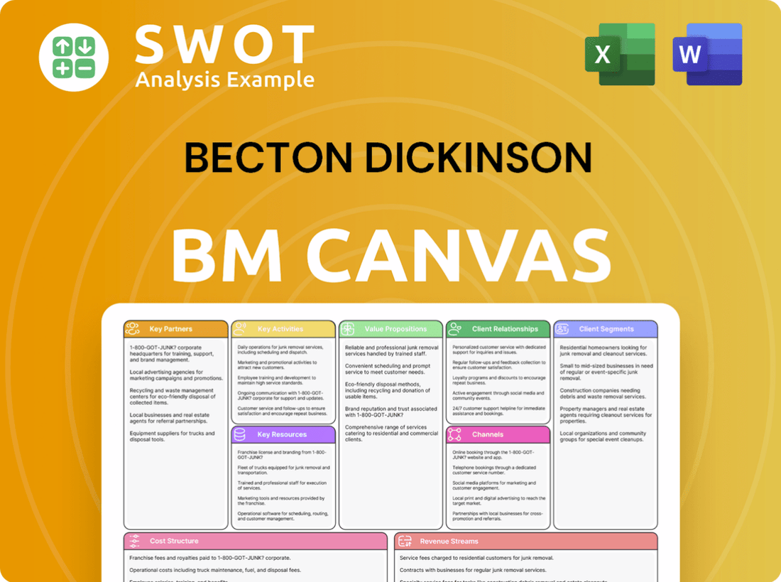 Becton Dickinson Business Model Canvas