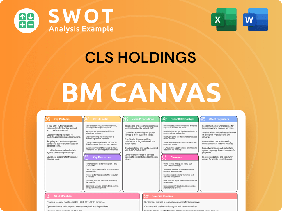 clsholdings-business-model-canvas