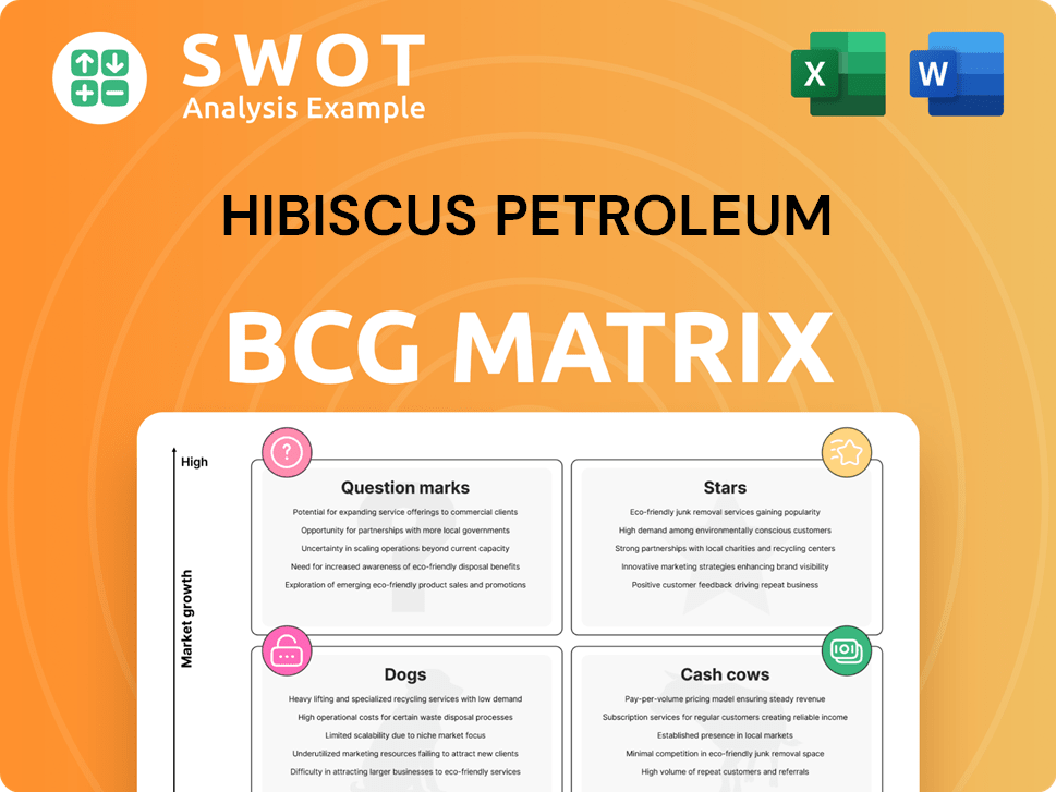 Hibiscus Petroleum Boston Consulting Group Matrix