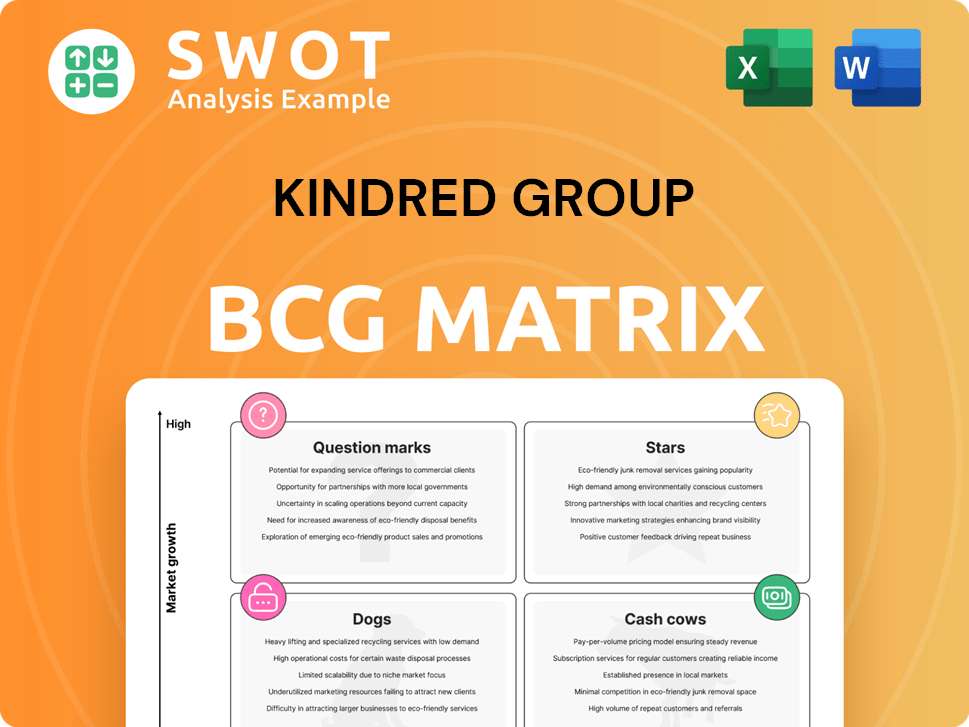 Kindred Group Boston Consulting Group Matrix