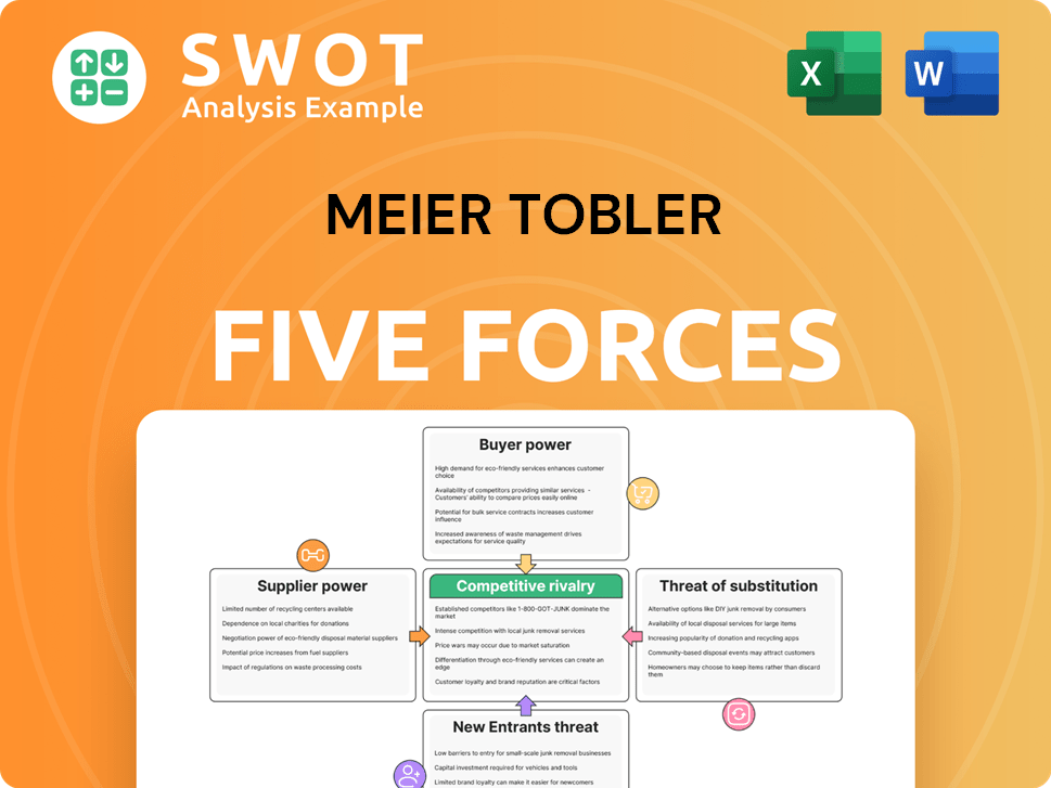 Meier Tobler Porter's Five Forces Analysis