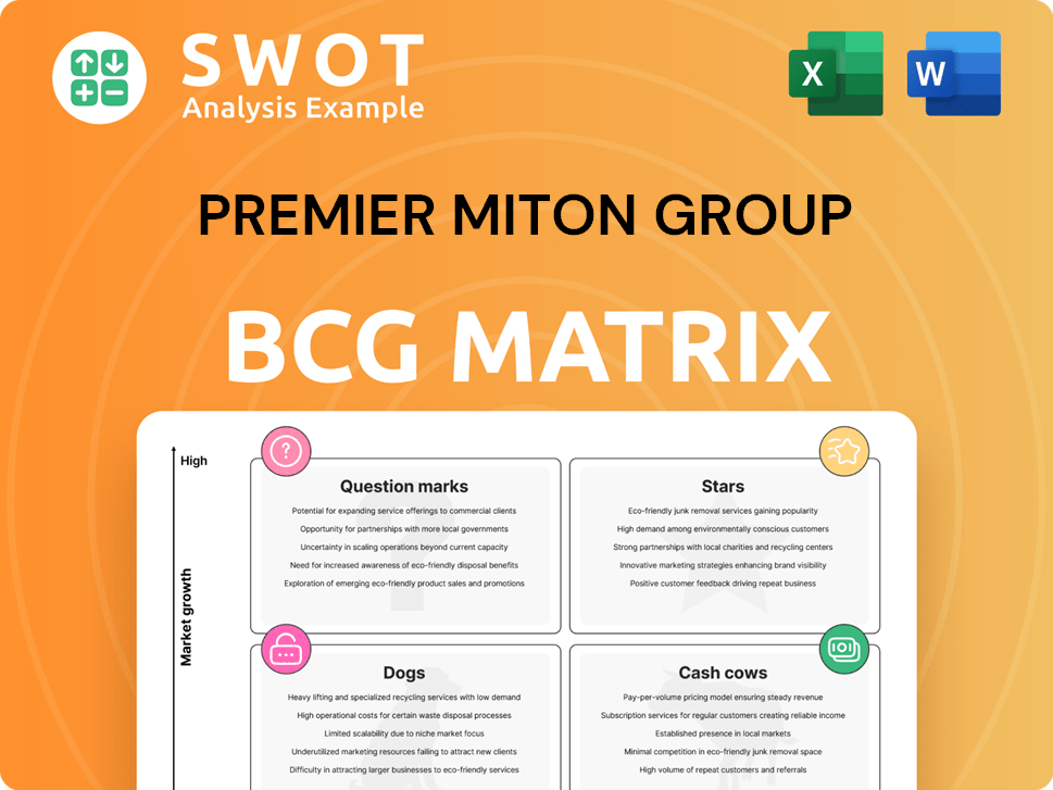Premier Miton Group Boston Consulting Group Matrix