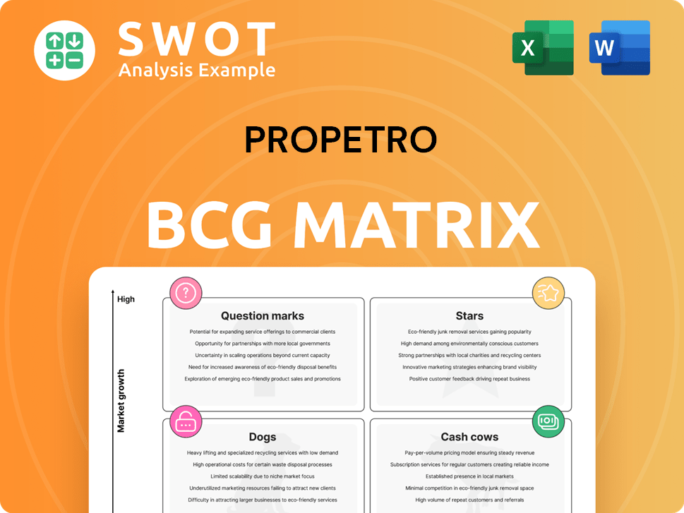 ProPetro Boston Consulting Group Matrix