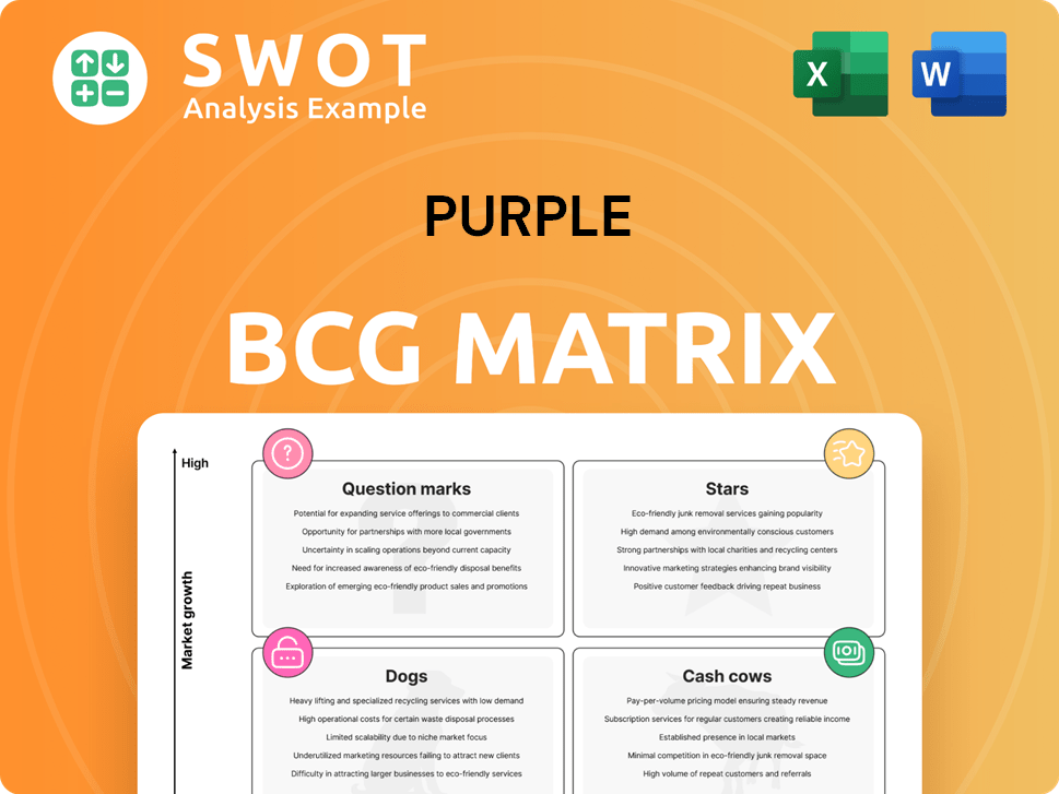 Purple Boston Consulting Group Matrix