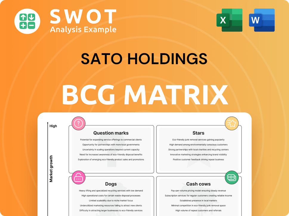 Sato Holdings Boston Consulting Group Matrix