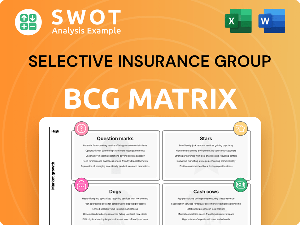 Selective Insurance Group Boston Consulting Group Matrix