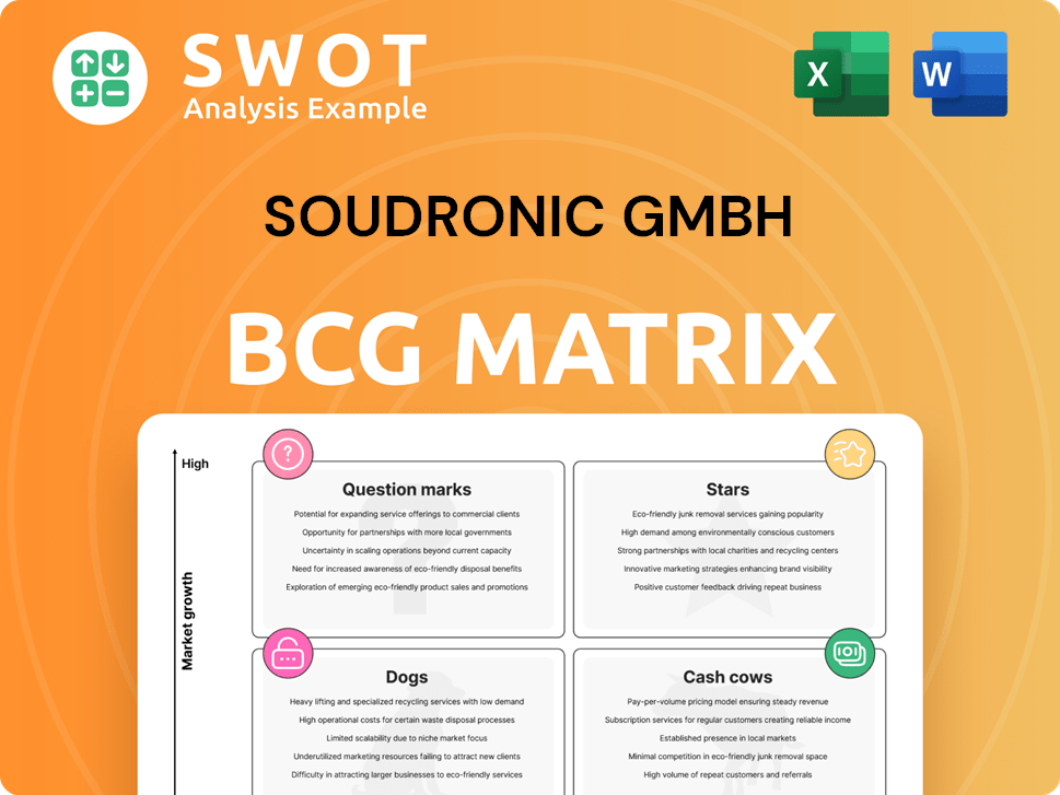 Soudronic GmbH Boston Consulting Group Matrix