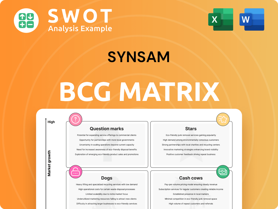 Synsam Boston Consulting Group Matrix
