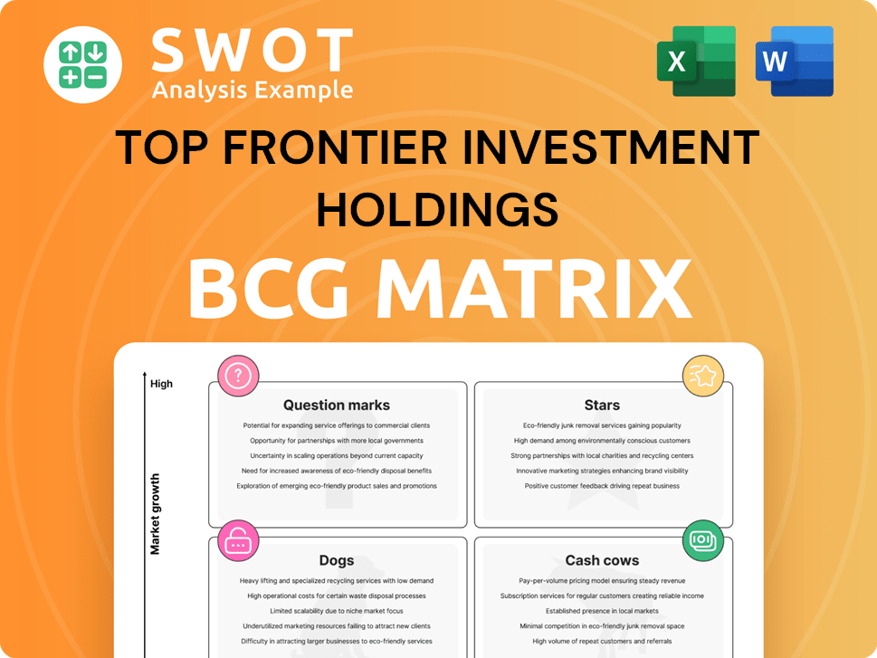 Top Frontier Investment Holdings Boston Consulting Group Matrix