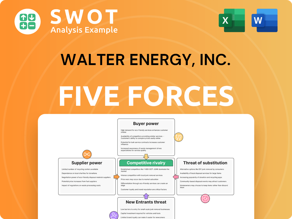 Walter Energy, Inc. Porter's Five Forces Analysis