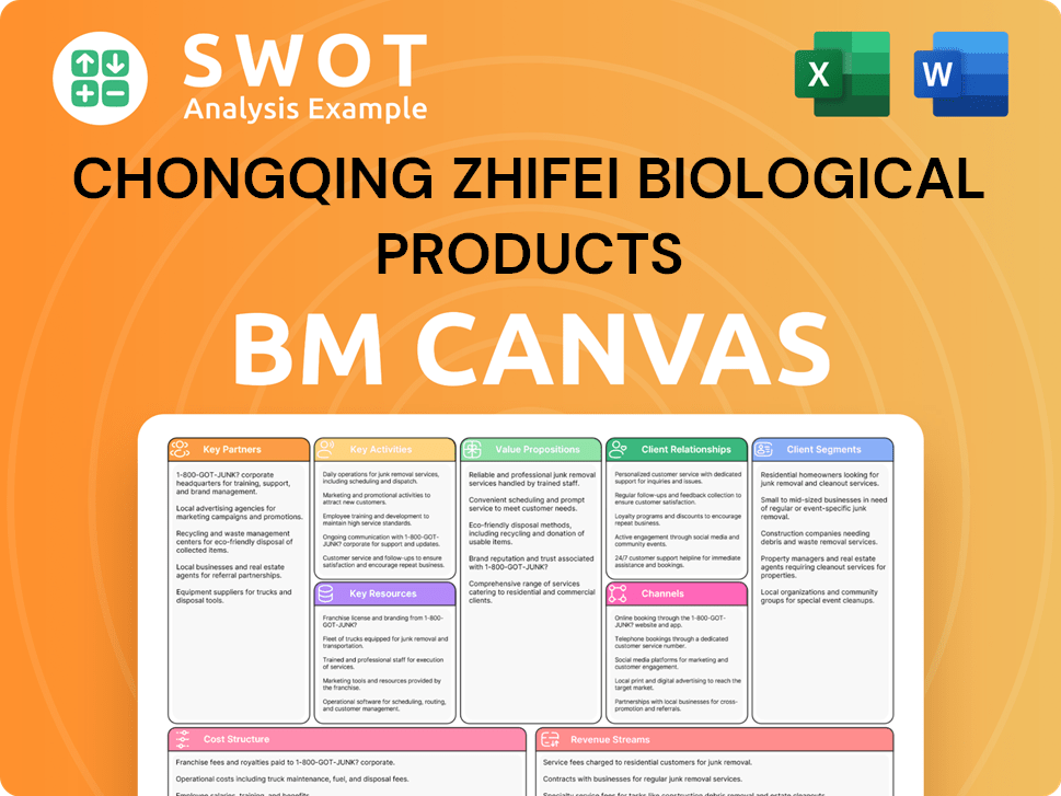 zhifeishengwu-business-model-canvas